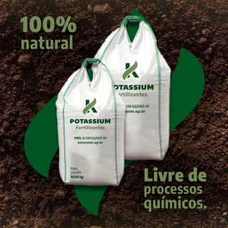 A força do minério para plantar mais produtividade na sua lavoura ✅

Conheça as principais vantagens do seu mais novo fertilizante potássico.

1⃣ Obtido pelo processo natural de moagem, sem a utilização de produtos químicos para a sua produção

2⃣ Baixíssimo índice salino

3⃣ Gera residual para culturas posteriores

4⃣ Pode ser aplicado de uma só vez e em área total

5⃣ Totalmente isento de cloro

6⃣ Não agride o meio ambiente, favorecendo o equilíbrio biológico do solo

7⃣ Libera os nutrientes de forma gradual, durante os ciclos das plantas

8⃣ Sofre menores perdas de potássio por lixiviação quando comparado ao cloreto.

#potássio #agro #brasilagro #crescimento #produtividade #fertilizantes #agricultura #agricultor #sustentabilidade #ambiental #plantação