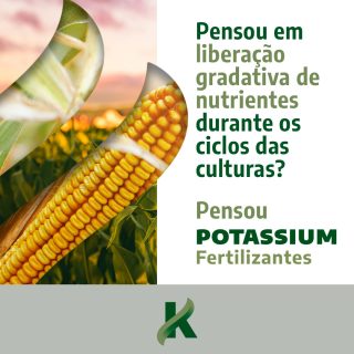 Mais do que importante, o uso do fertilizante potássico é atualmente uma das chaves para o sucesso no desenvolvimento das culturas agrícolas.

Trazemos a força do minério para a sua lavoura a partir de um produto 100% natural, que não agride o meio ambiente e ainda deixa um residual capaz de beneficiar as culturas posteriores. A consequência? Redução de custos agrícolas e um evidente crescimento produtivo.

#potássio #agro #brasilagro #crescimento #produtividade #fertilizantes #agricultura #agricultor #sustentabilidade #ambiental #plantação #rural #potassium