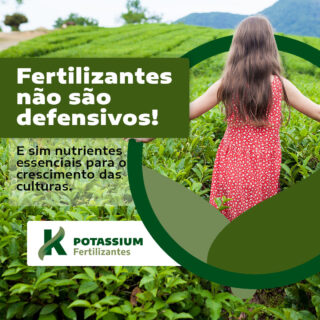 Diferentemente dos defensivos que protegem as culturas contra pragas e doenças, os fertilizantes fornecem nutrientes essenciais ao crescimento das plantas para que cresçam saudáveis.

E quando falamos em fertilizantes, podemos dividi-los em duas categorias: orgânicos e minerais. A diferença? Para todos os nutrientes serem absorvidos pelas plantas, eles precisam estar em sua forma mineral, portanto serão consumidos mais rapidamente com produtos do tipo, como Potassium.

Seja qual for a cultura, todas elas se beneficiam do fertilizante potássico que chegou para plantar mais produtividade na lavoura. Livre de produtos químicos e de incertezas.

#potássio #agro #brasilagro #crescimento #produtividade #fertilizantes #agricultura #agricultor #sustentabilidade #ambiental #plantação